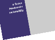 steinaukatalog